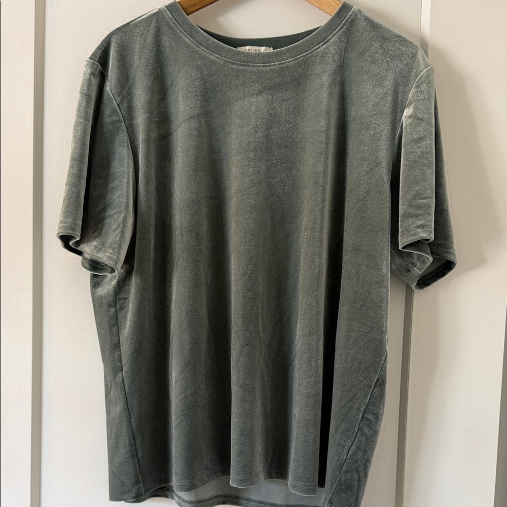 Z Supply W’s Short Sleeve Velvet Tee
